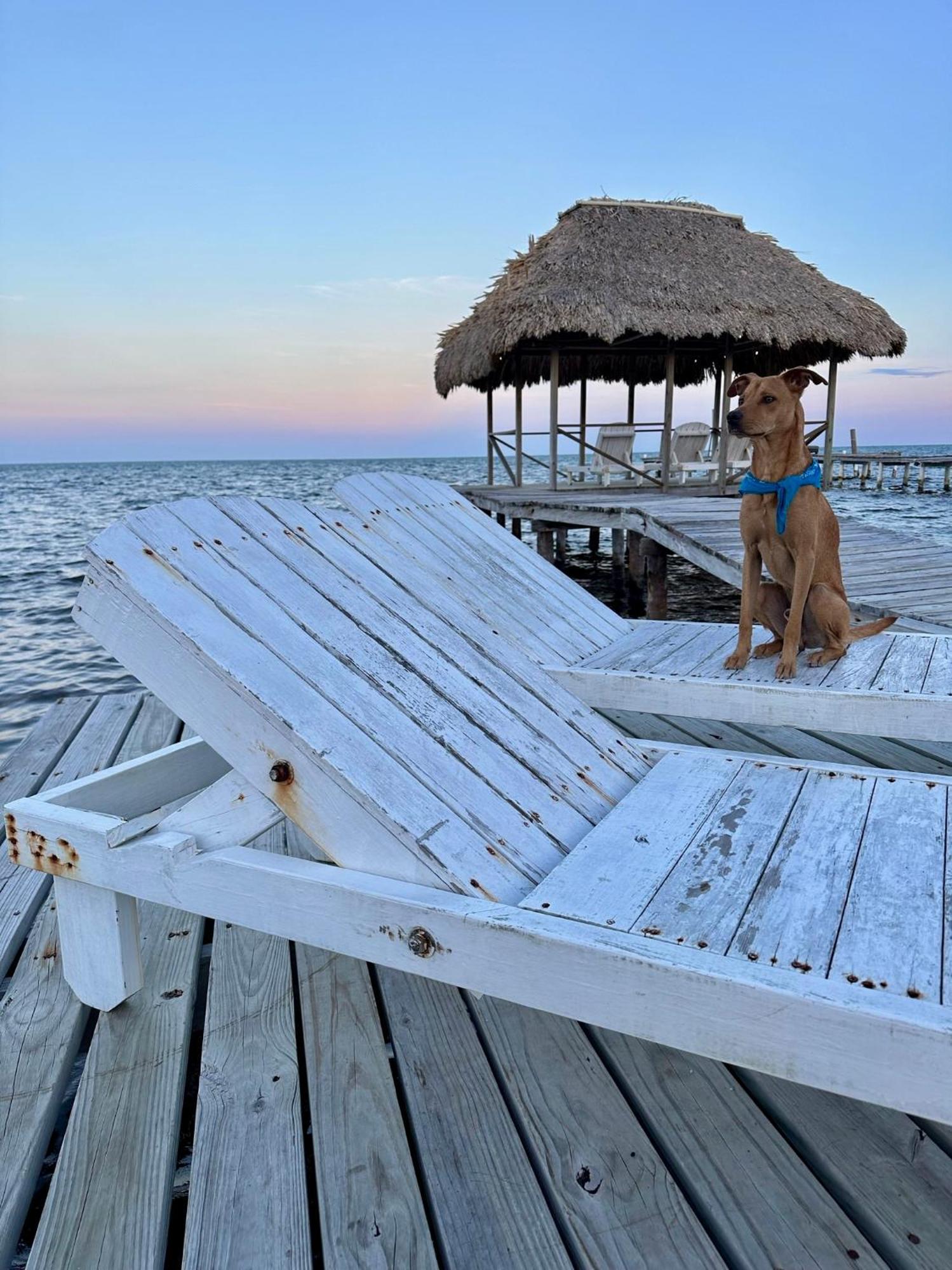 Barefoot Beach Belize Caye Caulker Bagian luar foto